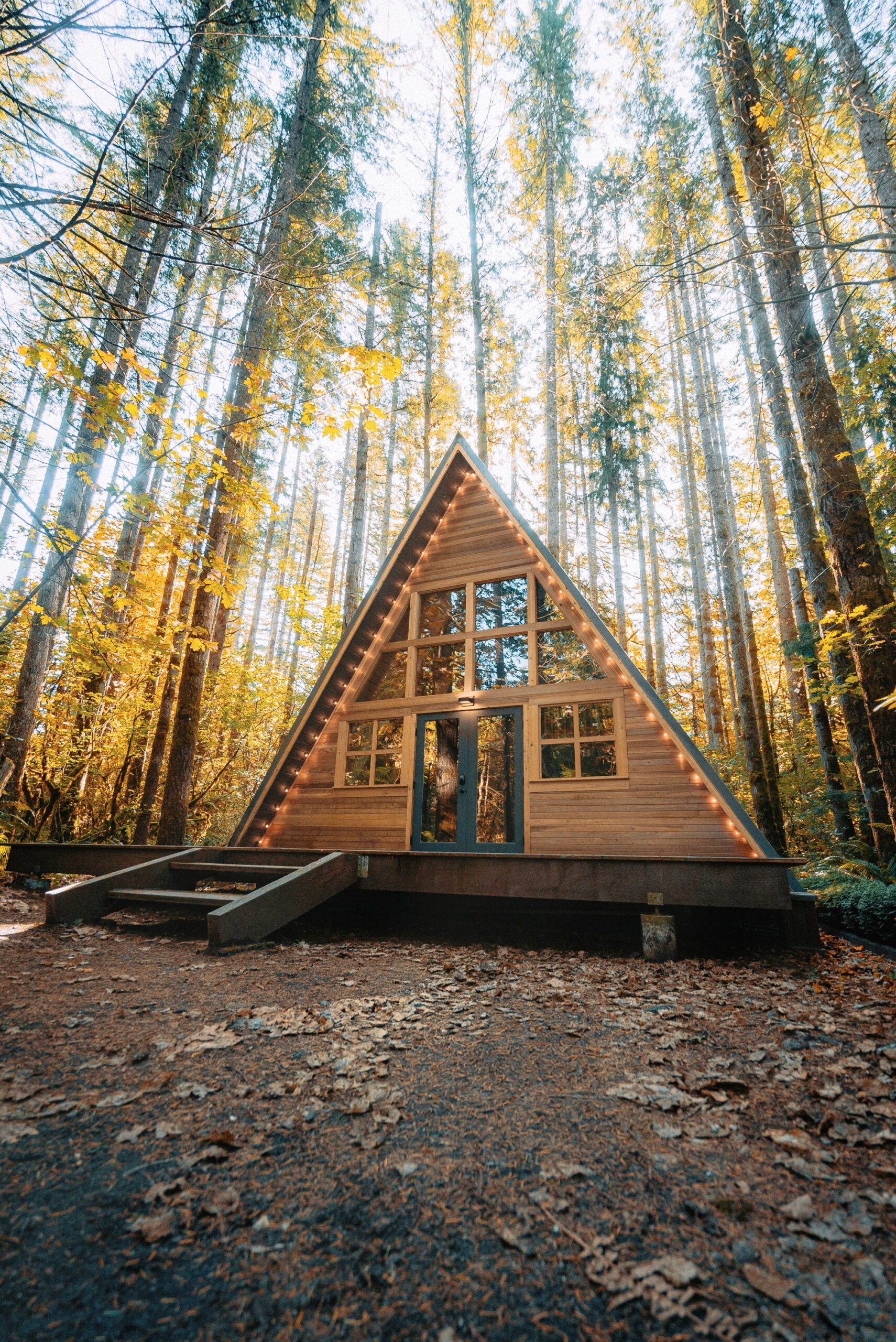 Drewniany domek A-frame z panoramicznymi oknami otoczony wysokimi drzewami